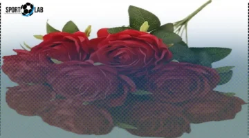 بوكيهات ورد مميزة قبل عيد الحب تناسب كل الميزانيات